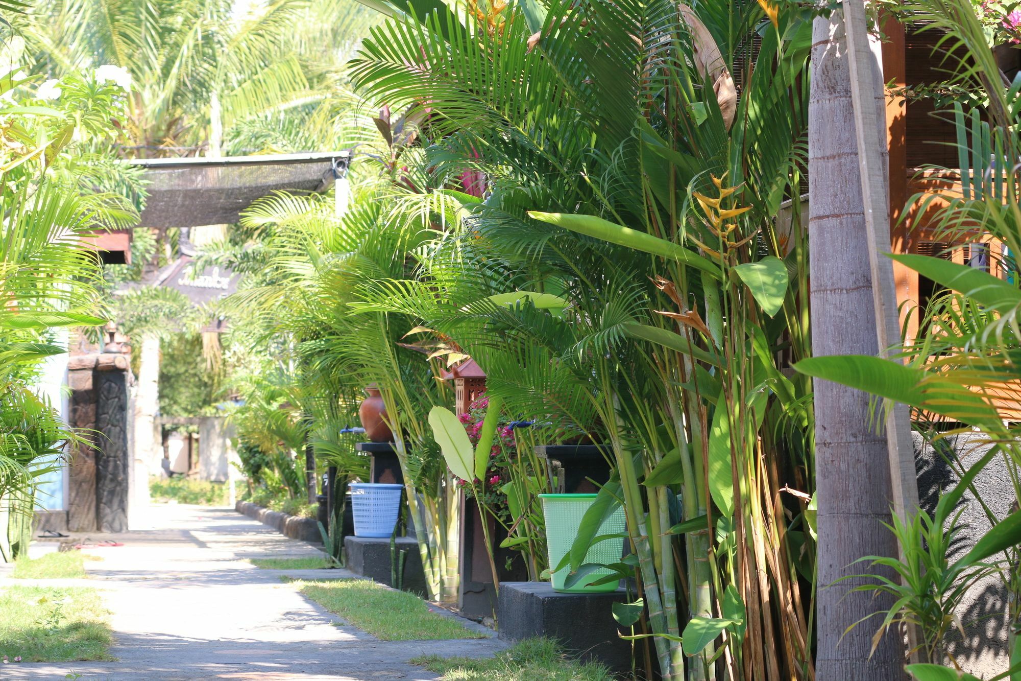 Colour Cottage Gili Air Extérieur photo